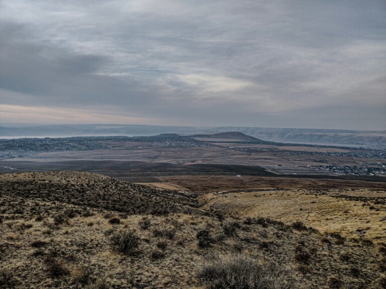 peter-robbins-7y3fUZ5YS5g-unsplash